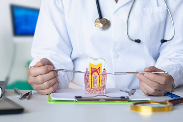 Best Pediatric Emergency Dentist in Lake Wildwood, CA